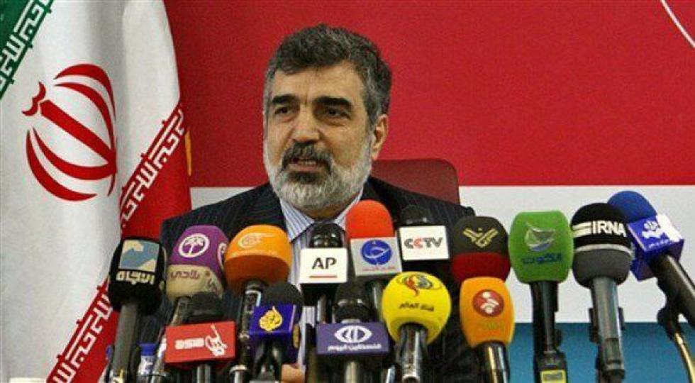 فعالیت برخی از دوربین‌‌های نظارتی آژانس انرژی اتمی در ایران قطع شد
