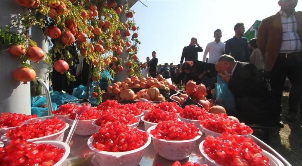 نهمین جشنواره انار و پاییز حلبچه برگزار می شود