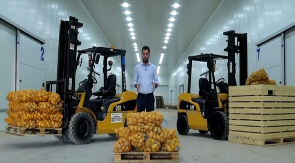 آغاز صادرات سیب زمینی اقلیم کردستان بە عربستان