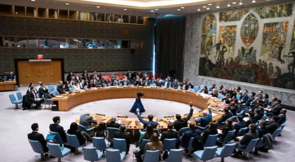مخالفت شورای امنیت با عضویت کامل فلسطین در سازمان ملل متحد
