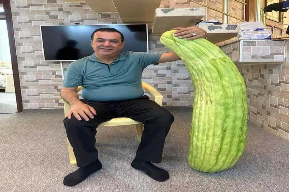 گەورەترین ترۆزی لە كوردستان   