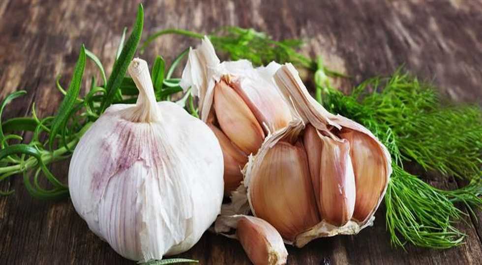  چوار سوودی خواردنی سیر لە وەرزی سەرمادا