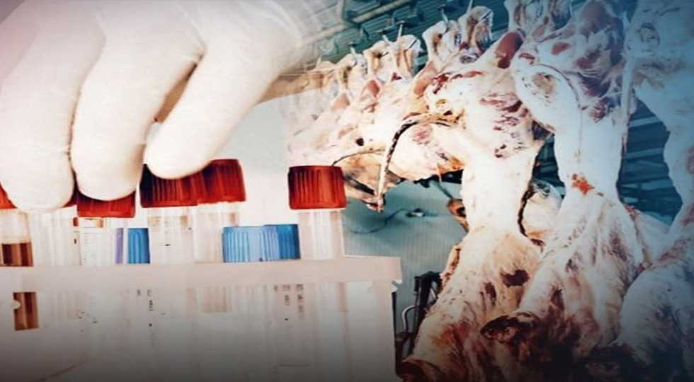  عێراق تۆماركردنی پێنج حاڵه‌تی نوێی تای خوێنبه‌ربونی راگه‌یاند