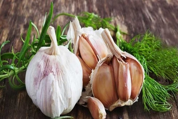  چوار سوودی خواردنی سیر لە وەرزی سەرمادا