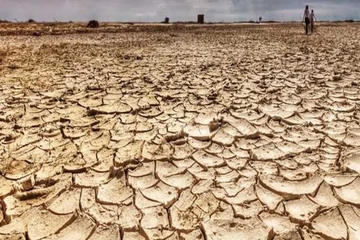 تا دێت مەترسییەکانی وشکە ساڵی زیاتر دەبن و ئەگەری کۆچی بە کۆمەڵ هەیە