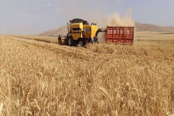  وادەی وەرگرتنی گەنمی جووتیارانی هەرێمی کوردستان ئاشكرا كرا