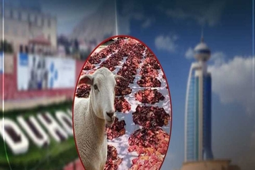 لە سلێمانی زۆرترین و لە دهۆك كەمترین قوربانی كراوە