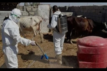 لە بەسرە دوو حاڵەتی نوێی تووشبوون بە تای خوێنبەربوون تۆمارکران